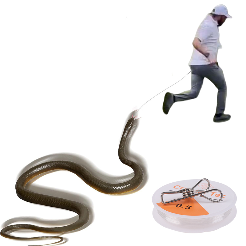 Jouet de farce serpent extérie - Prank Toys avis et prix
