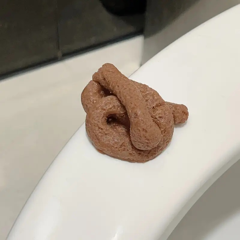 Jouet de farces de fausse merd - Fake Poop Gag Gift avis et prix