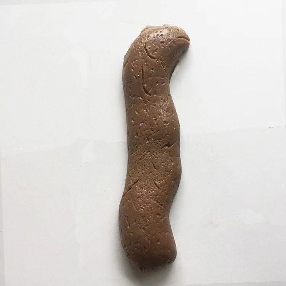 6 Pièces Crottes Factice Réali - Fake Poop Gag Gift avis et prix