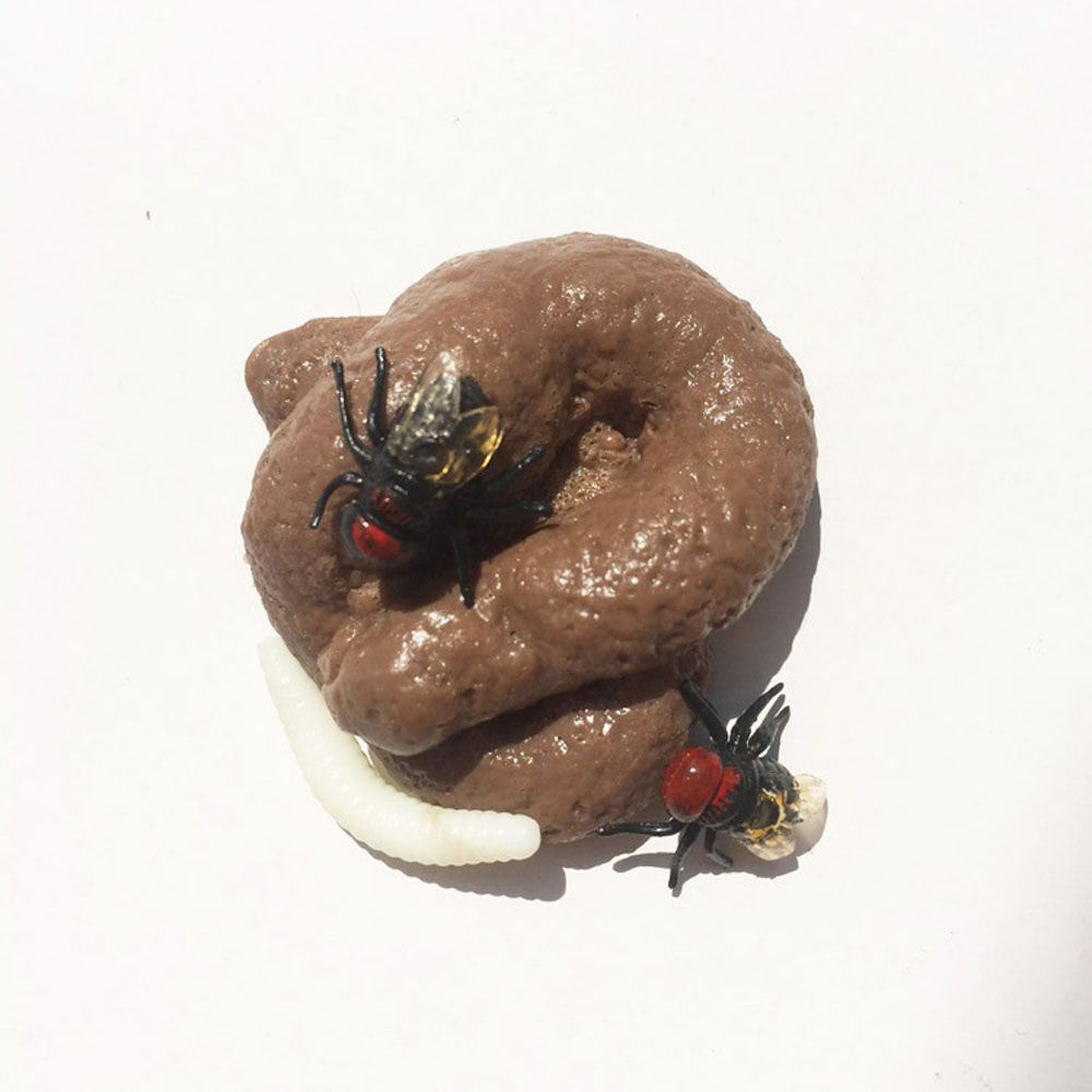 Faux jouets de merde réalistes - Fake Poop Gag Gift avis et prix