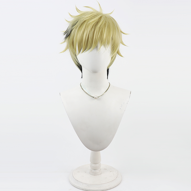 Vantacrow Bringer Cosplay perr - Anime Cosplay Wig Heat Resistant avis et prix