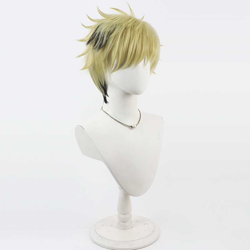 Vantacrow Bringer Cosplay perr - Anime Cosplay Wig Heat Resistant avis et prix